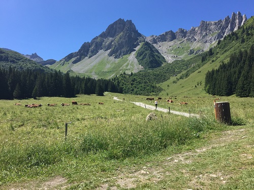 Looking at the Aiguille de la Pennaz from just below Chalet la Balme